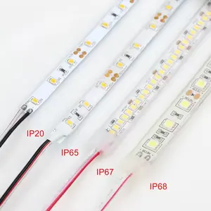 Desain baru DC 12 24v SMD 2835 strip led 3000k 4000k 6000k disesuaikan kelas tahan air Cerdas led fleksibel lampu strip