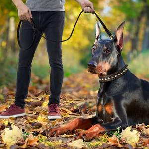 Correa de perro de lujo de alta resistencia, correa de cuero genuino trenzada suave y cómoda para perros pequeños y grandes, entrenamiento de impresión personalizado - Product Image 5