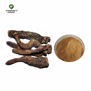Extrait de Cistanche Tubosa en poudre pour femmes et hommes, <span class=keywords><strong>aphrodisiaque</strong></span> <span class=keywords><strong>naturel</strong></span> pur, verbascoside 10-90%, acétoside, emballage en fût - Product Image 1