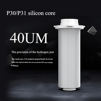 Filtre à sédiments pour toute la maison en acier inoxydable 304, 40 microns, manuel, pour usage extérieur, préfiltre pour robinet et eau de puits