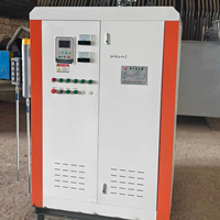 Generador de Vapor Eléctrico Vertical LDR1000Kg/h, Equipo de Alta Presión Estable para Grandes Fábricas Textiles y Curado de Concreto