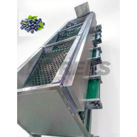 Professionele 304 Ss Bosbessen Sizer Machine Voor Grote Boerderijen