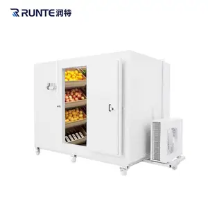 Tùy chỉnh di động phòng lạnh Nhà cung cấp container thương mại máy nén lạnh đơn vị thịt Tủ đông lưu trữ phòng