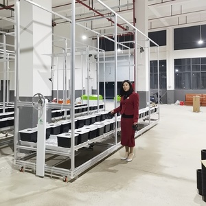 <span class=keywords><strong>Aquaponics</strong></span> Kas <span class=keywords><strong>Aquaponics</strong></span> Drijvende Kweekbedkwekerij In Viskwekerijen - Product Image 5