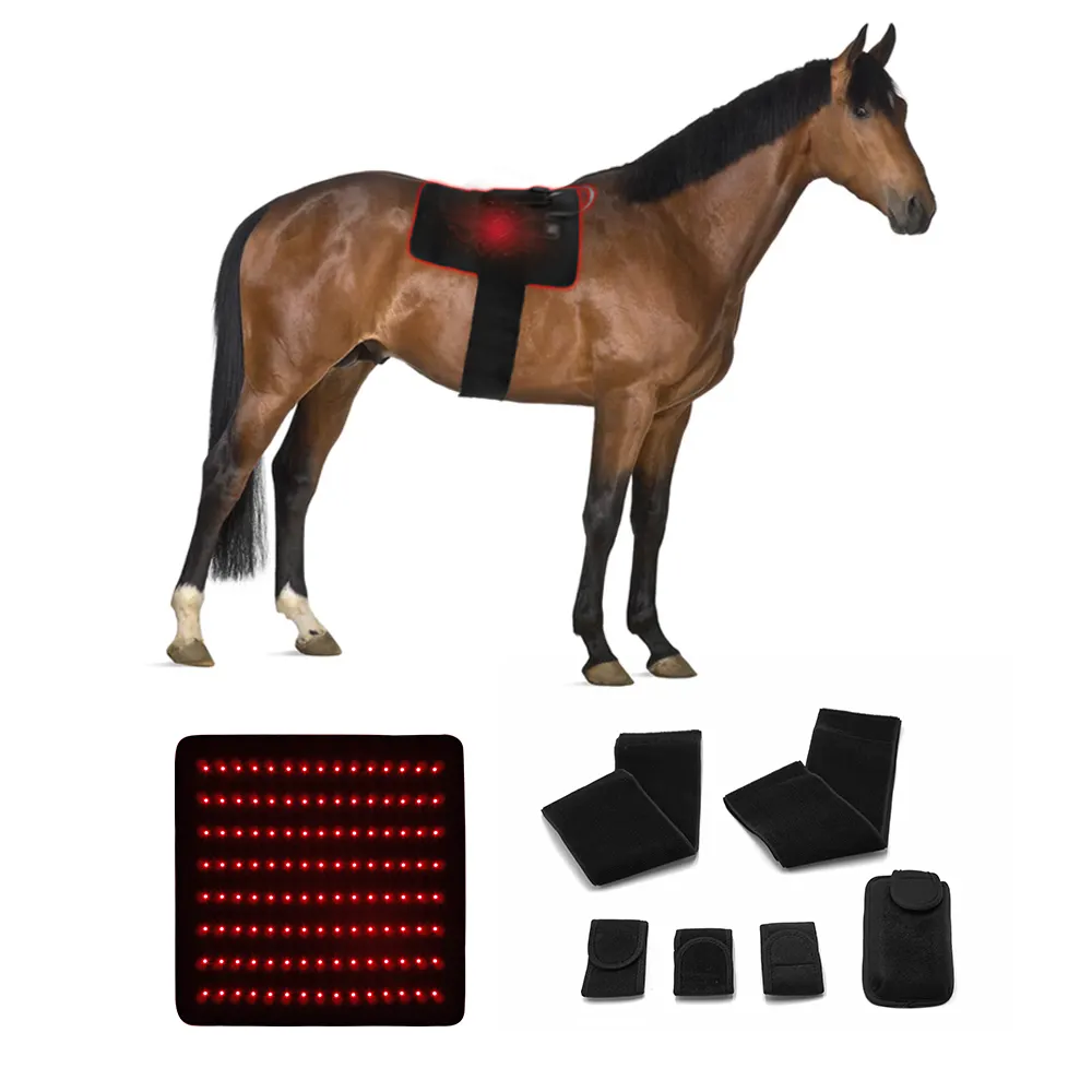 OEM ODM LED Red Infrared Light Therapy Led Lamp Mat Horse Leg Red Light Therapy Rug Pad For Pet Horse Back