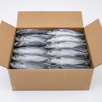 Maquereau entier IQF surgelé de qualité supérieure 100-200g 200-300g 300-500g Origine Chine Poisson de mer surgelé de haute qualité Vente en gros pour la restauration