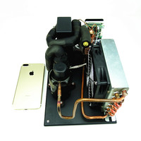 Fscar-système petit refroidisseur à eau, réfrigération, 12v dc, pour machine laser à cheveux