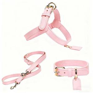 Set tali hewan peliharaan kulit mewah, termasuk kerah, tali, dan Tag ID. Desain yang dapat disesuaikan cocok untuk anjing dan kucing kecil hingga sedang - Product Image 6