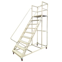 Échelle en aluminium et acier flexible réglable pratique en gros, capacité de charge de 80 kg, garantie de 5 ans