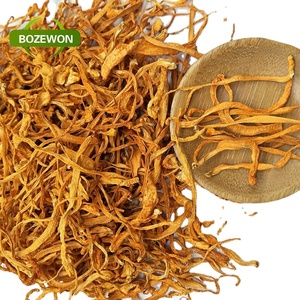Tambour d'emballage de supplément de qualité médicale en poudre d'extrait de Cordyceps Sinensis et Ganoderma Lucidum à base de plantes - Product Image 2