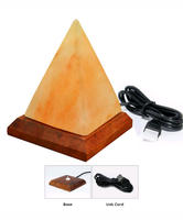 Grosir lampu garam Himalaya merah muda lampu meja ramah tidur kontrol USB lampu garam Pakistan untuk kamar tidur ruang belajar