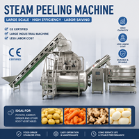 Automatische stoomschilmachine voor de verwerking van aardappelen, wortelen en gember |   Industriële groenteschiller met hoge capaciteit