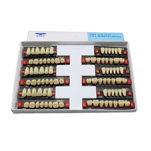 ฟันปลอมสังเคราะห์ฟันเรซินเทียม2ชั้น - Product Image 5