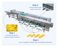 Lonkia Verse Maïs Ui Sorteermachine En Grootte Sorteermachine Avocado Sorteermachine Fruitgewicht Sorteermachines