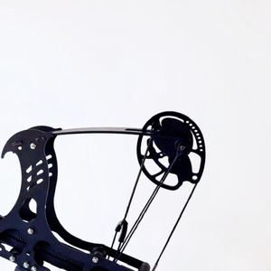 <span class=keywords><strong>Arc</strong></span> à poulies continu de conception nouvelle, <span class=keywords><strong>poulie</strong></span> mécanique de haute précision, boule en acier, <span class=keywords><strong>tir</strong></span> à l'<span class=keywords><strong>arc</strong></span> à double usage, durable, <span class=keywords><strong>chasse</strong></span> en plein air - Product Image 5