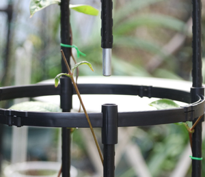 Treillis de jardin en métal pour plantes grimpantes Plantes d'intérieur en pot <span class=keywords><strong>Arche</strong></span> Treillis Supports pour plantes - Product Image 3