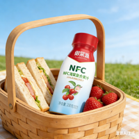 NFC Crabapple-sap, vers geperst uit vers fruit, bevat geen toevoegingen, is gezond en veilig om te drinken en bevordert de spijsvertering.