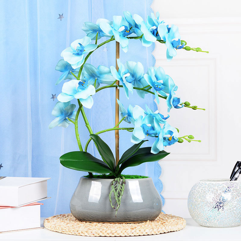 Phalaenopsis BLAUE Blume mit Topf Knstliche Orchidee Seidenblume Geschenk  Wanddekoration Kunsthandwerk Phalaenopsis Simulationsblume mit| Alibaba.com