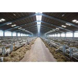 Nueva estructura de acero de granero de Metal prefabricada, granja de vacas, construcción de ganado, granja de pollos y cerdos, cobertizo de vacas y jaulas para animales - Product Image 6