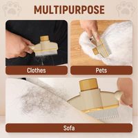 NOUVEAU Brosse pour animaux de compagnie Brosse pour chat mignon One Click Hair Removing New Long Handle Pet Comb Cepillo Para Gatos Y Perros