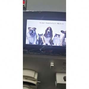 Tıbbi Hastane Hayvan Böbrek Kan Diyalizörü Çin Taşınabilir Veteriner Hemodiyaliz Makinesi Ekipmanı - Product Image 4