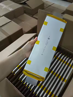 3.7V 111.4Ah WeLion haute densité d'énergie batterie de cellule de poche NMC électrique deux trois véhicules à roues bateaux solaire nouveau stockage d'énergie