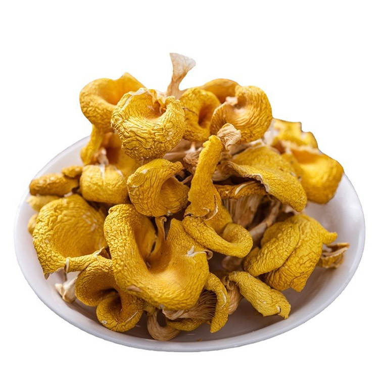 Toptan kurutulmuş chanterelle mantar