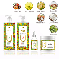 Kit de Croissance Capillaire Biologique en Gros Anti-Chute Solide, Meilleur Shampoing et Après-Shampoing Naturel au Vieux Gingembre Royal pour la Pousse des Cheveux