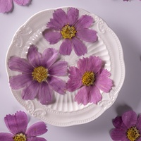 Nouveau produit, vente chaude : Fleurs séchées mélangées pour l'art floral, Cosmos violet pressé, fleurs naturelles séchées, Coreopsis plate