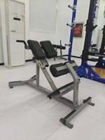 Prix de gros Équipement de salle de sport commercial Rosen Fitness Musculation Banc romain réglable pour l'extension dorsale pour l'exercice