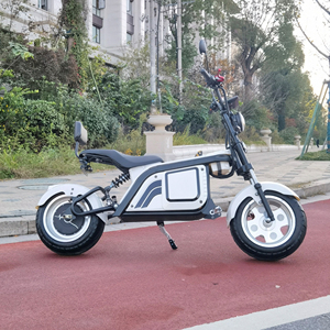 Monopattino Elettrico di Lusso Emark EEC COC con Pneumatici Larghi, Scooter a Due Ruote in Acciaio, Moto Giocattolo per Bambini, Magazzino Europeo, OEM Sur Steel Luxury - Product Image 3