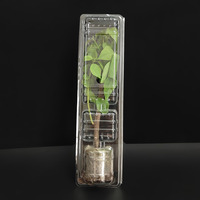 Boîte d'emballage pour plantes en forme de coquille jetable pour la protection des plantes pendant le transport Accepte la personnalisation Usine bon marché directement