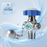 Vanne manuelle DIN 13 de l'Industrie allemande, taille de port G 5/8" INT, en acier inoxydable 316L, à déconnexion rapide pour gaz oxyde nitreux