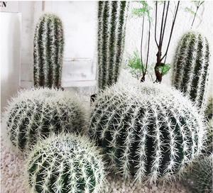 Panel <span class=keywords><strong>de</strong></span> Pared con Plantas Artificiales, Adornos <span class=keywords><strong>de</strong></span> Pared con Flores Artificiales Grandes, Puertas con Flores Artificiales, Plantas <span class=keywords><strong>de</strong></span> Cactus Artificiales - Product Image 3