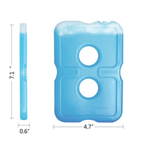Mini glacière Portable, glacière, congélateur réutilisable, glacière, pour le Camping
