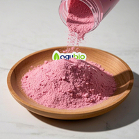 Poudre d'extrait de cerise Acerola en gros, qualité alimentaire, avec COA complet, poudre fine d'extrait de cerise Acerola en vrac