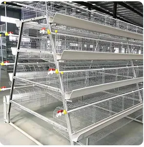 Het Hete Kippenhok Van De Fabriek Biedt Plaats Aan 250 Kippen, Met 4 Lagen Type Een Laagkooi