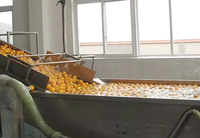 Hoge kwaliteit circulerende water aardbeien bubbelreinigings wasmachine fruit bubbelwasser