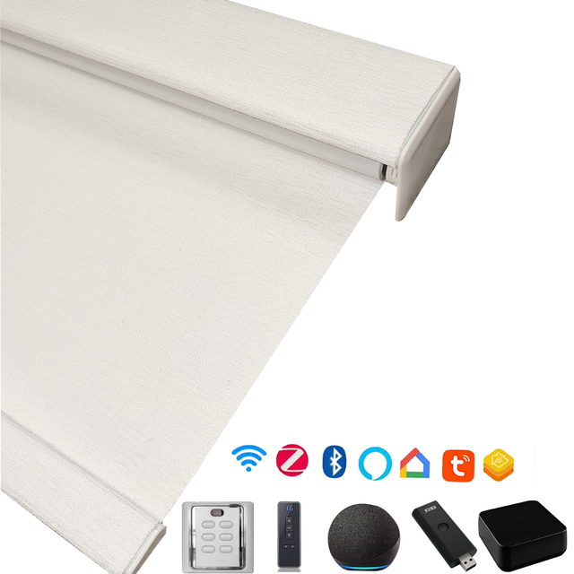 Customized Electric Remote Control Zigbee Tuya Google Alex Matter Control Blackout Windproof Motorized Roller Blinds for Window