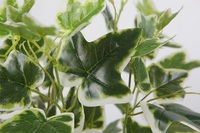 Offres Spéciales Table Plantes Bonsaï Plantes à Feuillage Feuilles Vertes Plantes Artificielles Décoratives Décor À La Maison