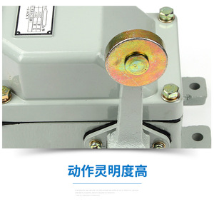 LX915-12 Limit Switch 210x200x70mm IP65 Waterproof <b>Metal</b> Marine Lifting With <b>Roller</b> - Product Image 2