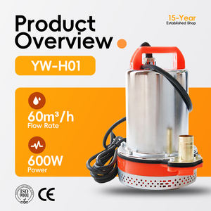 Yw h01 <span class=keywords><strong>12v</strong></span> 48/60v 72V कॉपर वायर मोटर उच्च दक्षता कृषि सिंचाई के लिए उच्च कठोरता डायाफ्राम पंप - Product Image 2