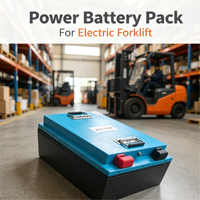 Paket Baterai Lithium Iron Phosphate Smart BMS 3000 Siklus UN38.3 CE Untuk Sepeda Motor Listrik Roda Tiga Garansi 2 Tahun