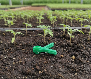 Offre Spéciale – Clips de greffage à ressort en plastique vert de haute qualité, haute performance, pour concombres, aubergines et <span class=keywords><strong>tomates</strong></span> (pour le marché international) - Product Image 1