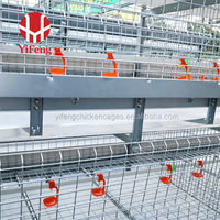 Cage d'élevage de poussins de type A haute densité avec cadre galvanisé durable pour l'équipement d'élevage de poulets de ferme avicole – Fabricant