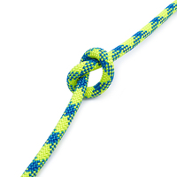 Cordon de survie tressé personnalisé haute résistance et léger pour l'escalade, en nylon 2mm 3mm 4mm 6mm 550 750 Lbs, 100m