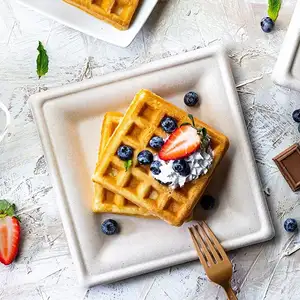 Waffle Disposable Sugarcane Bagasse Dinner Paper Dish Biodegradable Waffle Food Square Plates For Party