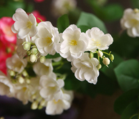Penjualan langsung dari pabrik fu-x bunga pernikahan bunga melati ungu untuk Centerpieces sutra ringan bunga ungu