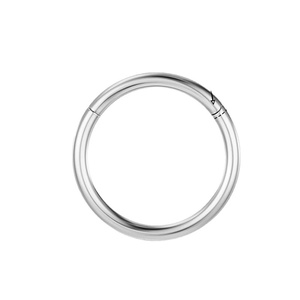 Anneau <span class=keywords><strong>de</strong></span> <span class=keywords><strong>nez</strong></span> rond sans soudure en titane G23, simple, électroplaqué, pour hommes et femmes, bijou <span class=keywords><strong>de</strong></span> piercing <span class=keywords><strong>de</strong></span> <span class=keywords><strong>nez</strong></span> à <span class=keywords><strong>boucle</strong></span> fermée - Product Image 5