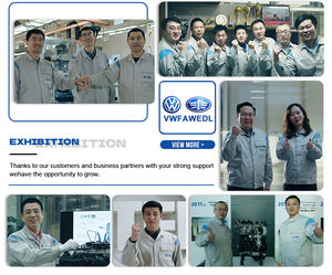 Orijinal EA888 GEN <span class=keywords><strong>2</strong></span> GEN 3 motor yedek parçaları emme egzoz vana yayı için Audi A3 A4 A5 A6 Q5 Q3 VW Tiguan Magten Passat - Product Image 6